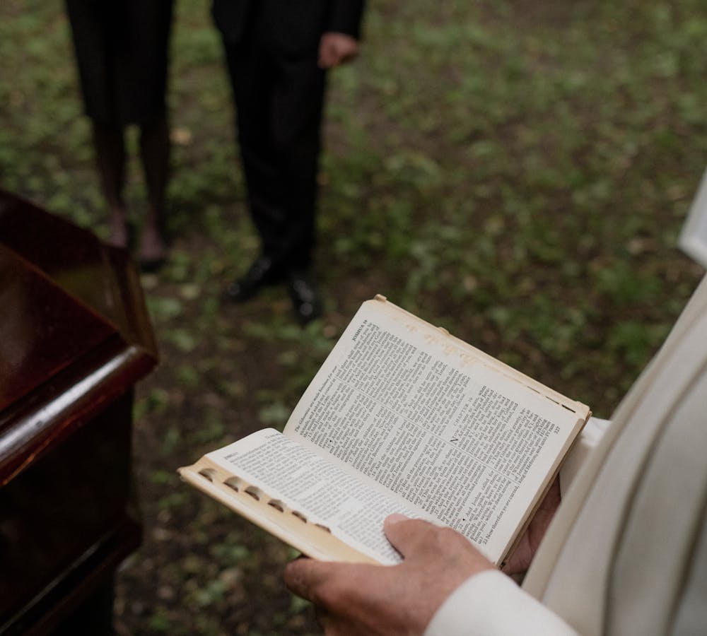 pexels-photo-10485639-1