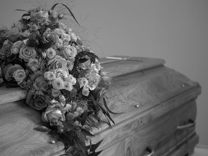 pexels-photo-16350324