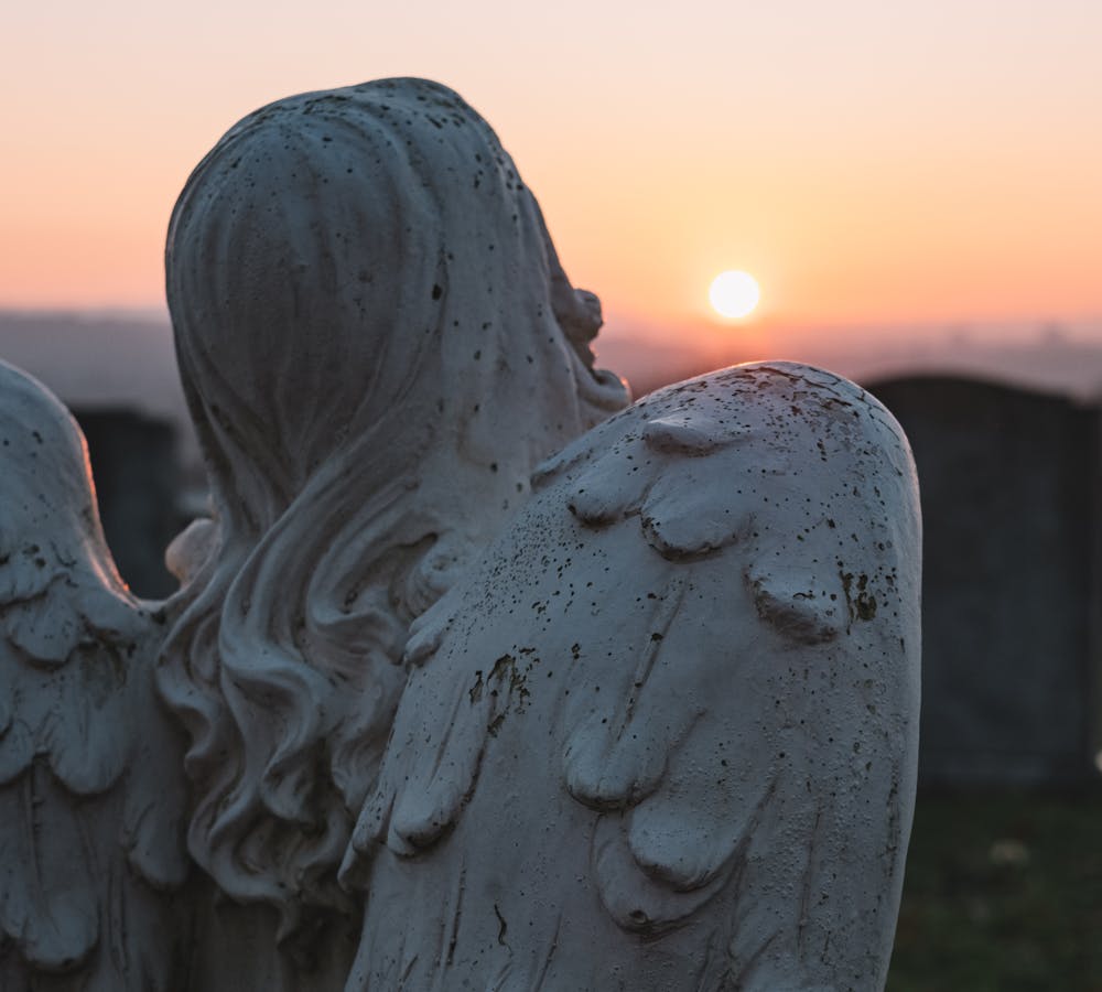 pexels-photo-3345860-1