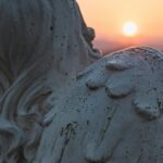 pexels-photo-3345860