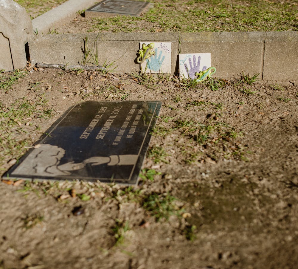 pexels-photo-6841110