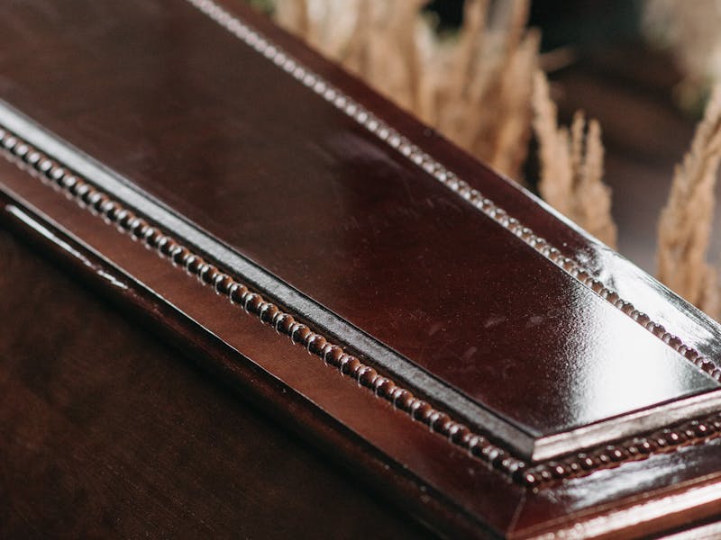 pexels-photo-7317683-1