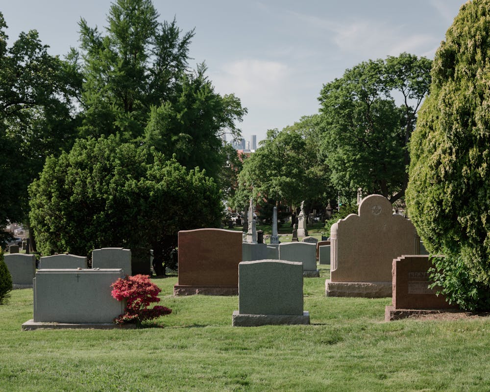 pexels-photo-8865715